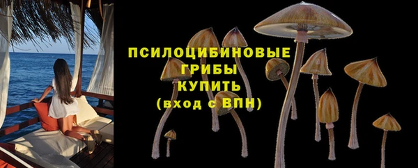 кокаин премиум Лабытнанги