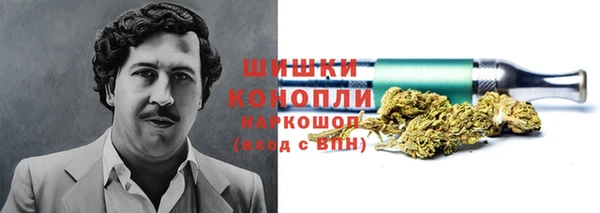 гидра Лихославль