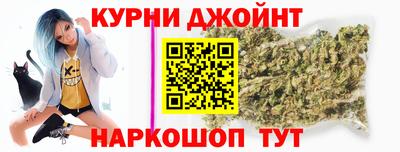 spice Дубна