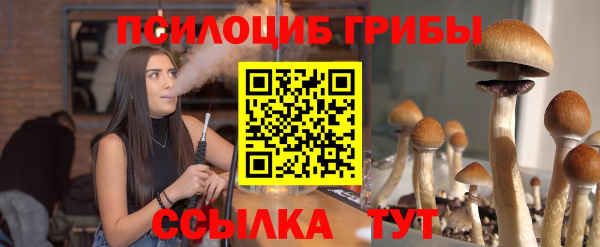 Псилоцибиновые грибы Cubensis  Чайковский 