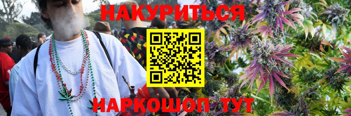 Канабис OG Kush Чайковский